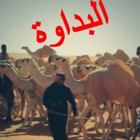 البداوة (@69_yz) 's Twitter Profile Photo