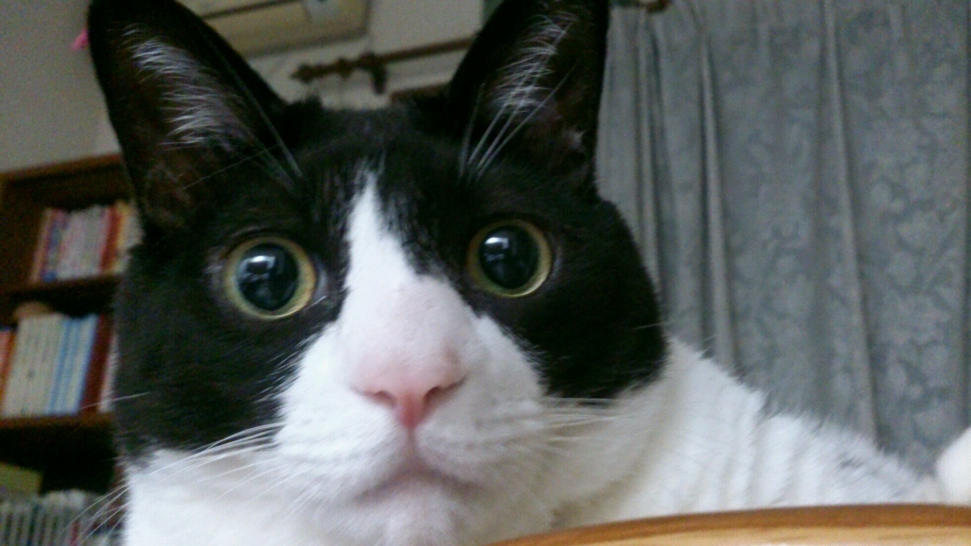 tanhiro0328's profile picture. 