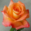 juan jose (@1955_juanjo) Twitter