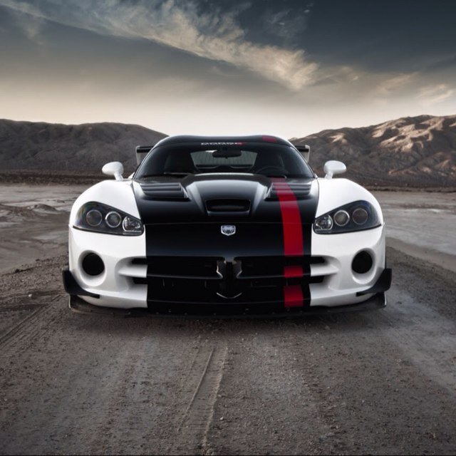 ❗❗Your Daily Dose of HQ Viper Pics❗❗ Follow on Instagram: @vipers_of_instagram For Submissions Use KiK: Vipers_of_Instagram