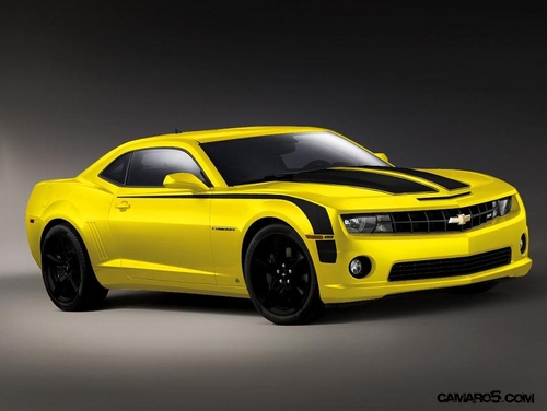 shezdevil's profile picture. 