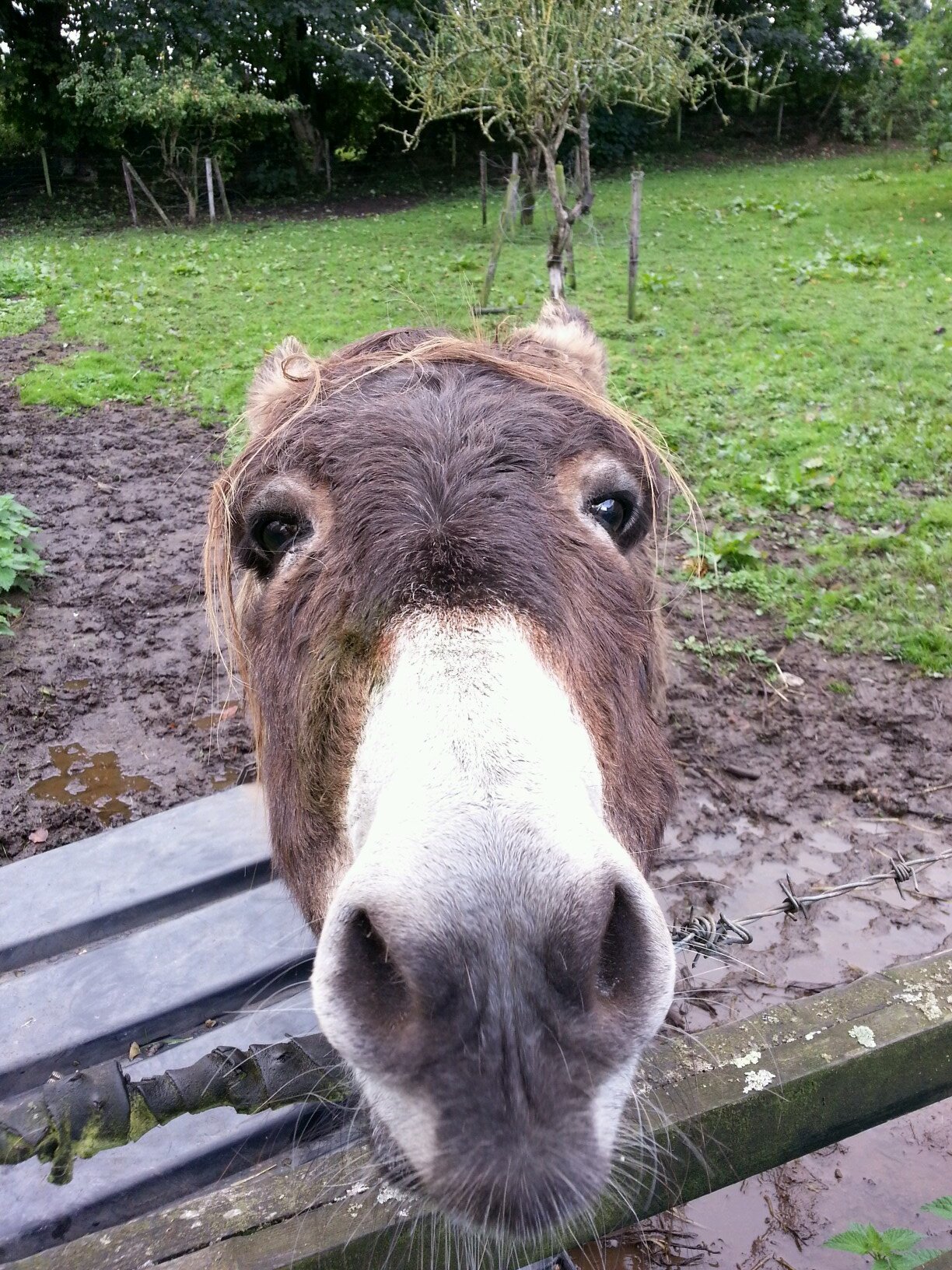 SeanOBanain's profile picture. Community Worker of sorts 🤔,Made in Tullamore, Anti conflict, help the homeless, anti addiction, Hiker, Travel/Culture, Family ❤️