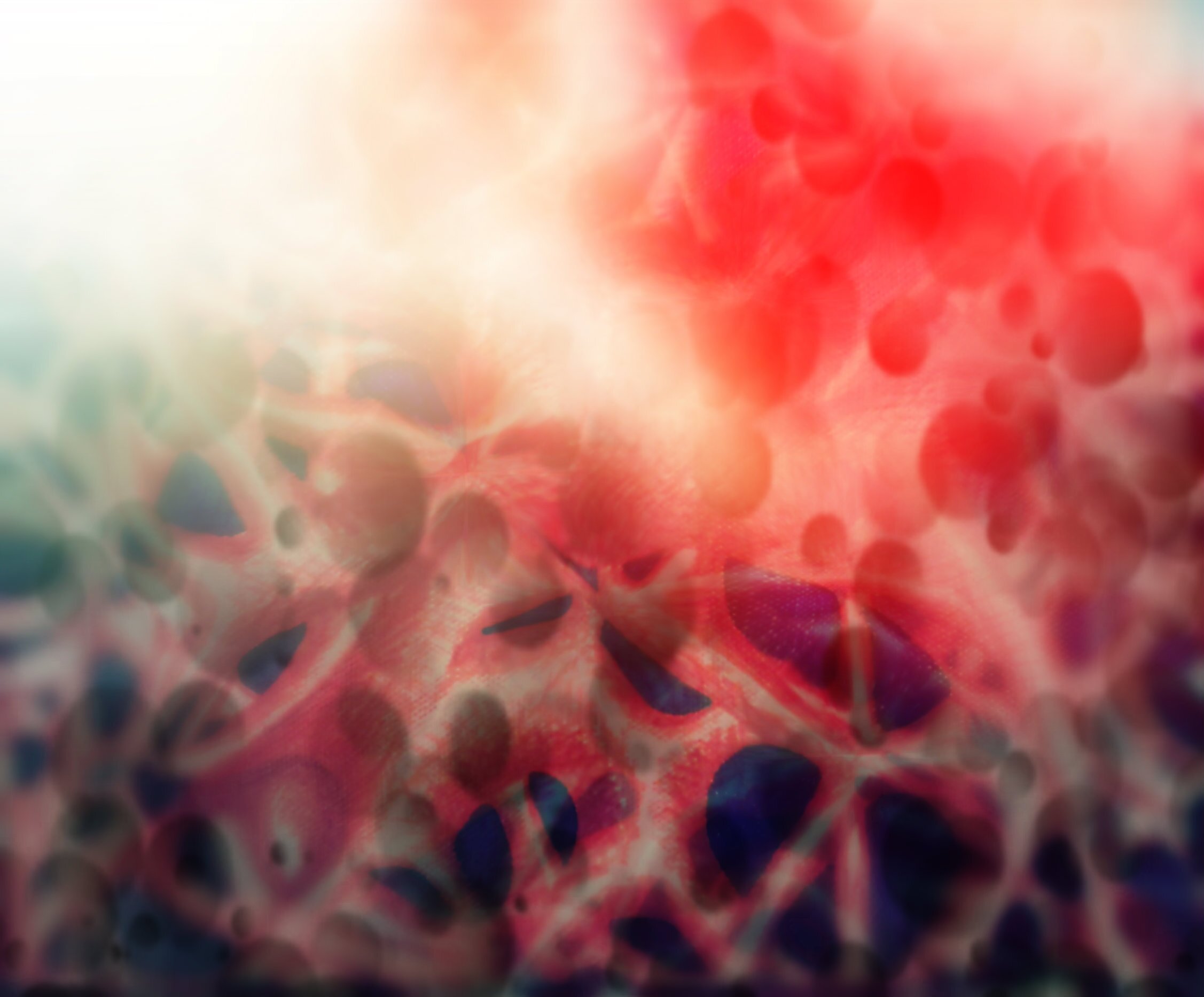 AshleytheDJ's profile picture. I am myself.