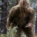 Seth Meadows - @GimmeDCookies - Twitter