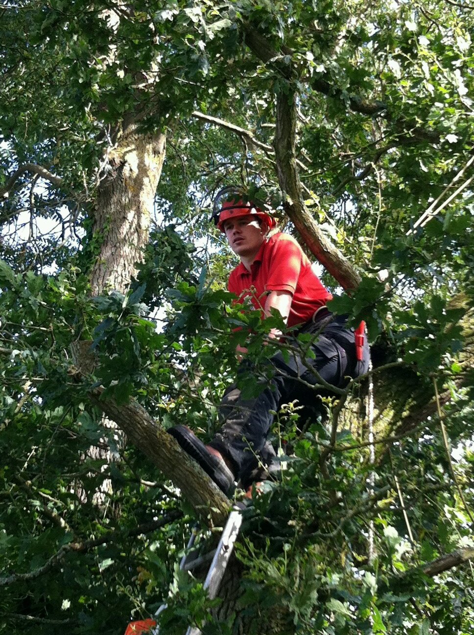 BenedictSimmons's profile picture. Landscaper in north Somerset