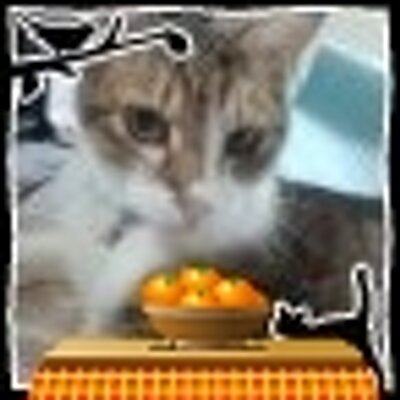 はっちゃん Kaddiska323 Twitter はっちゃん Kaddiska323 Twitter