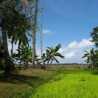 InfoDaerahCom (@infodaerahcom) 's Twitter Profile
