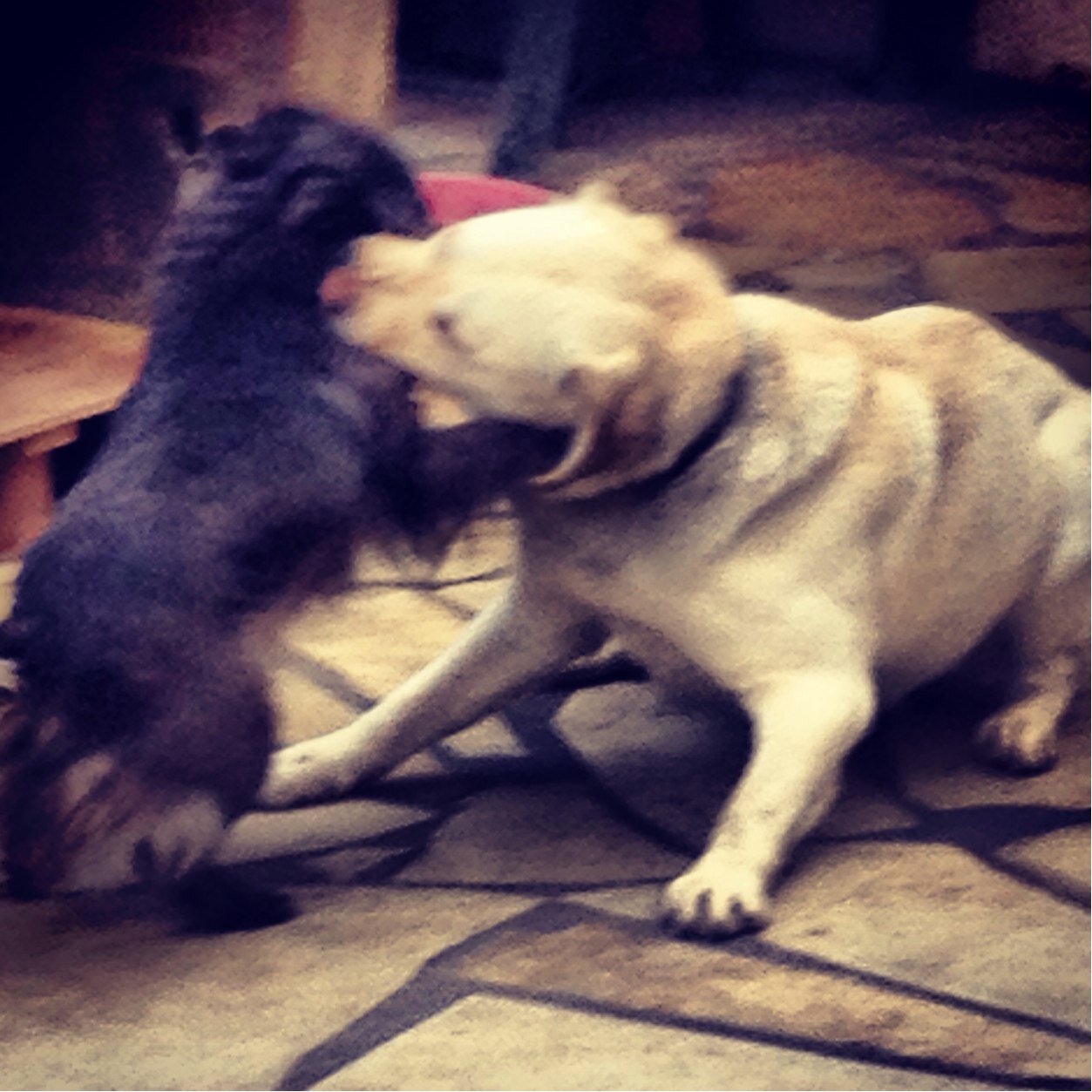 TwittoUndefined's profile picture. Il était une fois.... Suit moi si tu veux connaitre la suite