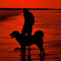 BVavecSonChien's profile picture. Je suis ici pour partager avec vous sur nos amis les animaux et plus particulièrement sur les chiens. N'hésitez pas à venir échanger également sur mon blog !