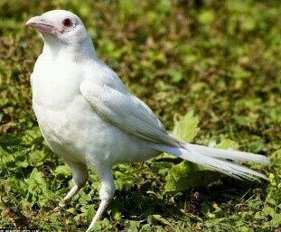 gakbachi's profile picture. 청산리 벽계수야 수이감을 자랑마라. 일도창해하면 돌아오기 어려우니 명월이 만공산할 때 쉬어감이 어떠리.