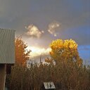 Greg Gibbons - @Gibbonsart - Twitter