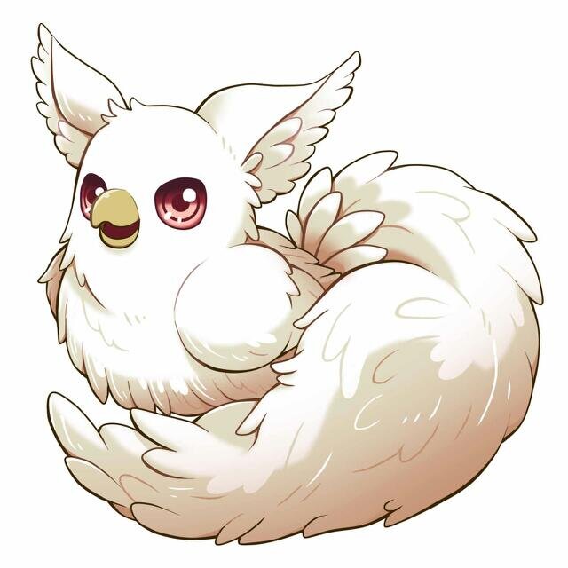 理さんのプロフィール画像