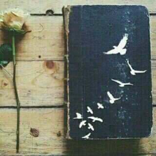 sama with me ; I am fain ♥*exam*