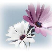 Münevver Özer (@zer_mnevver) 's Twitter Profile