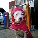 david belmar moreno - @david_belmar - Twitter