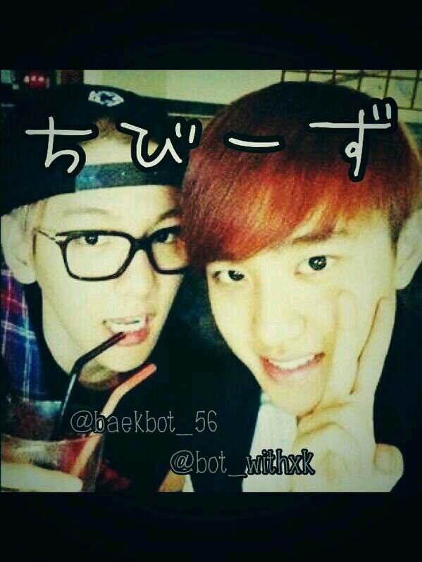 EXO D.O. bot  not real   Baby wolf    ちびーずの片割れ  love love love→@baekbot_56