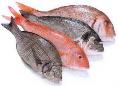 Pescados y Mariscos Reyes, Desde el hermoso estado de Colima