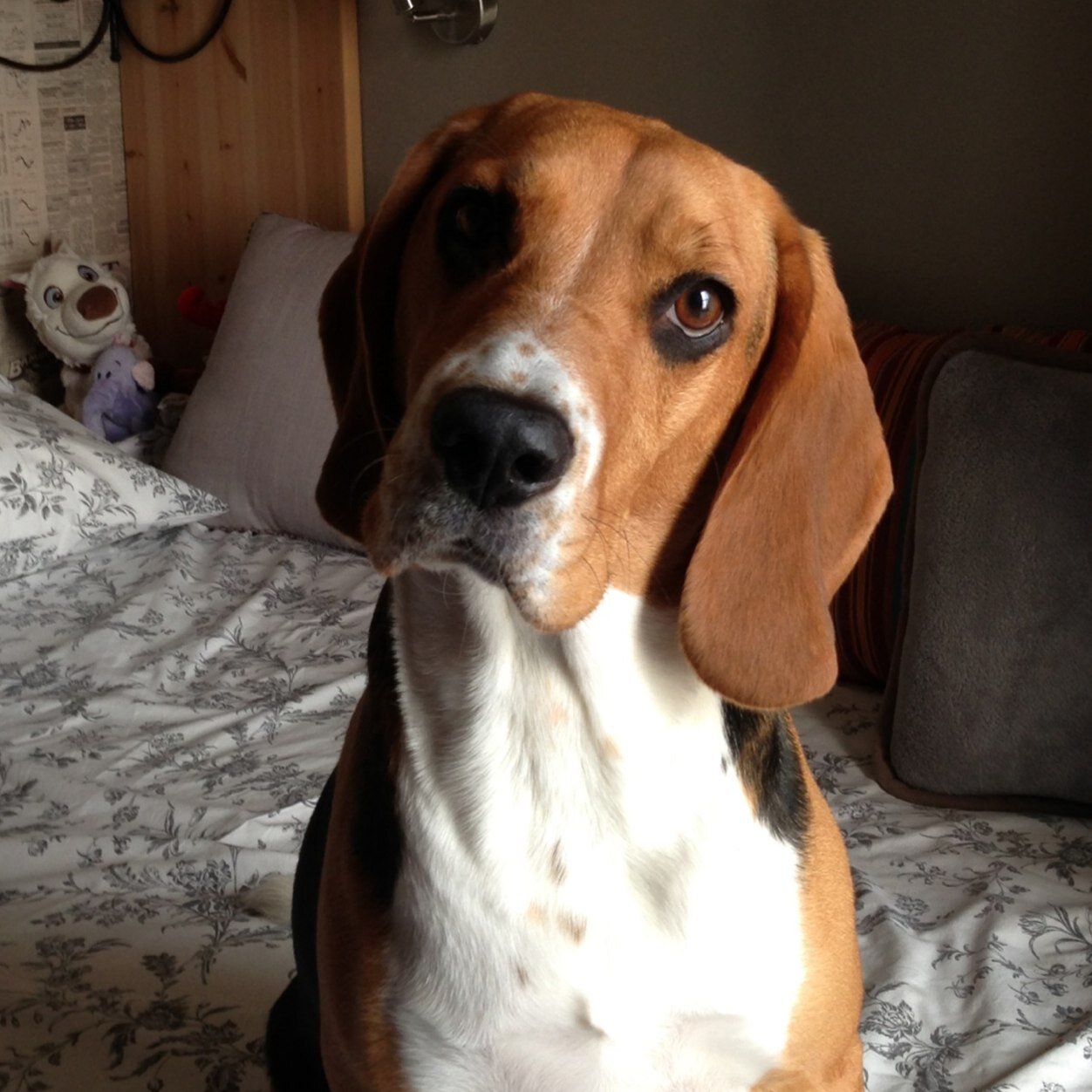 MarnyThe's profile picture. 