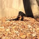 Alain Brown - @BrownAlain - Twitter