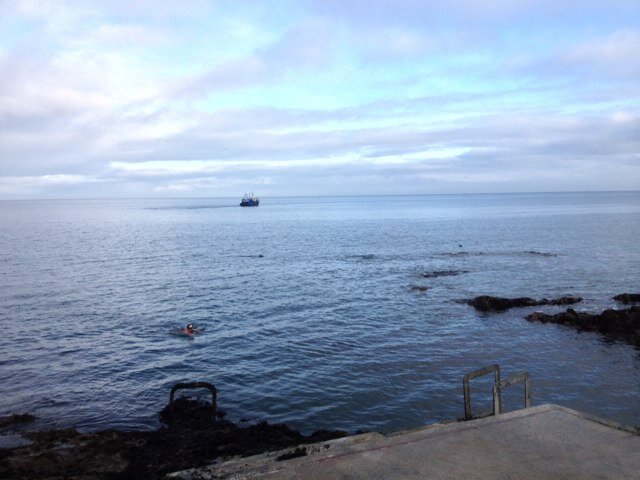 frostieA1's profile picture. 