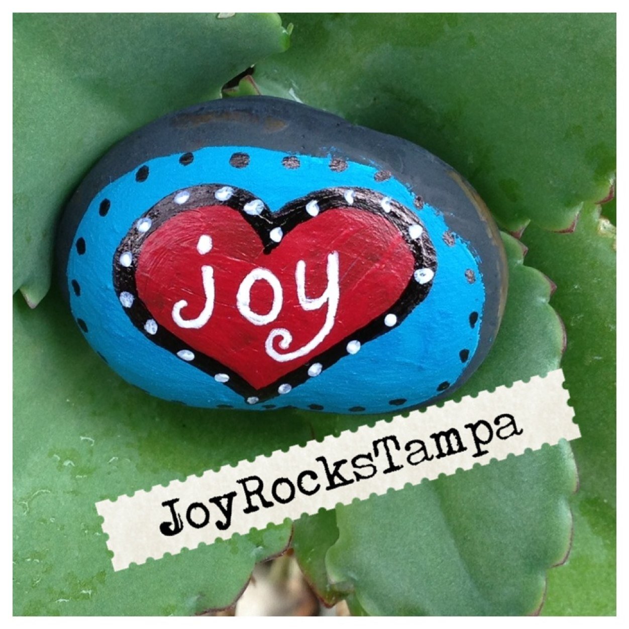 joyrockstampa's profile picture. Spreading joy throughout Tampa one hand-painted rock at a time. Joy rocks are randomly placed and yours to find and keep. Found one? Show us! #joyrockstampa