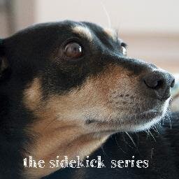 SidekickSeries's profile picture. A short documentary web series featuring amazing adopted pets & their owners. Subscribe to our YouTube channel & watch for new episodes on Wednesday!
