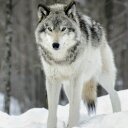tuncer aslan (@0048Aslan) Twitter