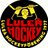 luleiten's profile image