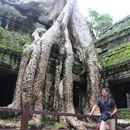 SergioIntravaia's profile picture. 