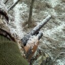 Zach Snyder - @cast_n_blast - Twitter