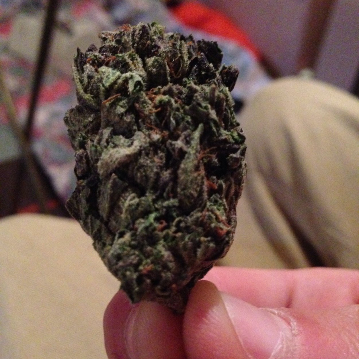 Datpiffdoeh's profile picture. Smoke good, live good.