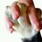Giady200205's profile image