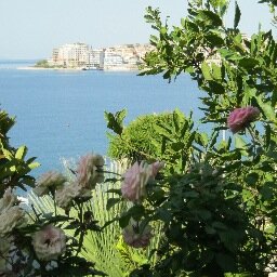 gsl2007's profile picture. 