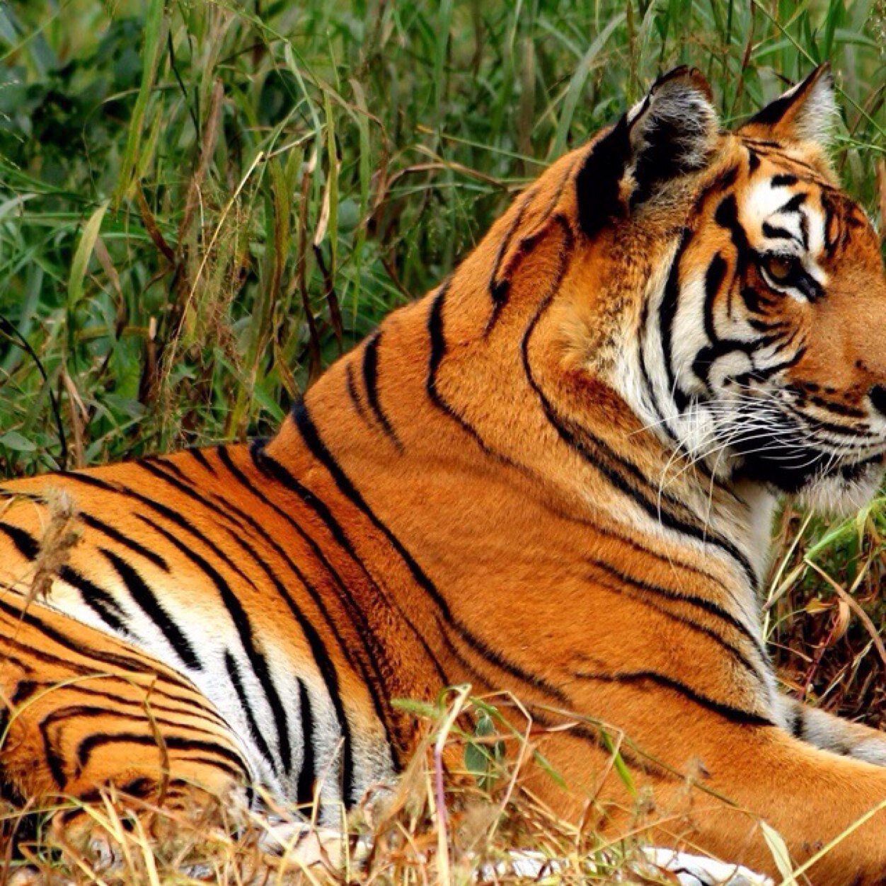 Blog_fest's profile picture. I could be a man or a woman, a child or an adult, a black person or a white person, a straight person or a straight person. Blogging. Everything. Awesome.