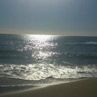 abuelitta2 (@abuelitta2) 's Twitter Profile