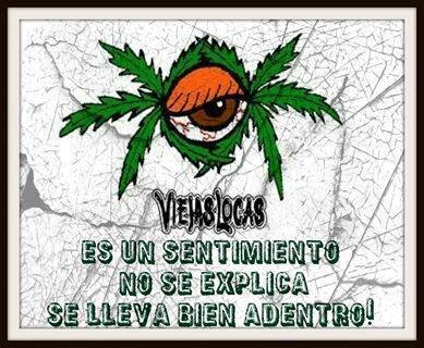 Viejas Locas no es solo rock and roll