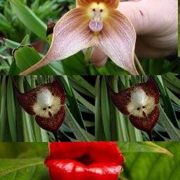 ---من اختيار الجوهره---                               اروع واجمل النكت والصور المنوعه-ضاحكه-قديمه-هادفه-نادره.