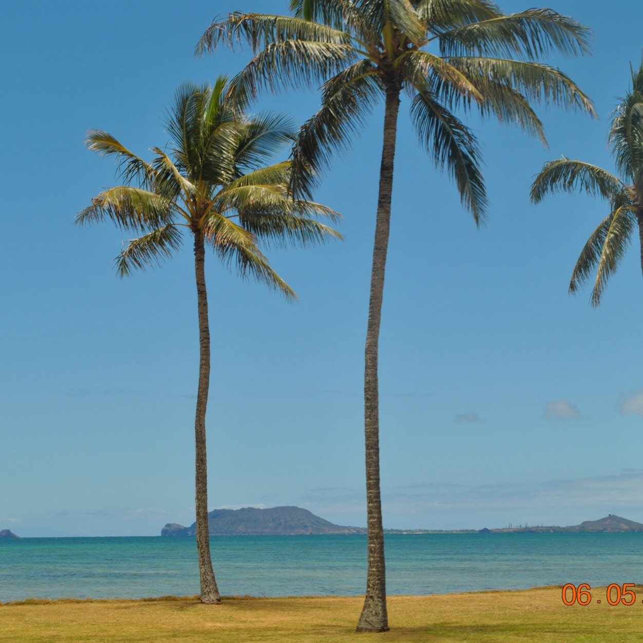 pattiem130's profile picture. 