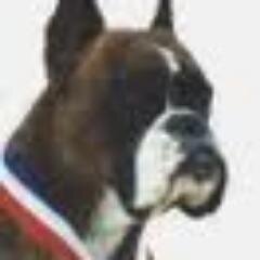 Hier dans les manifs de Ras le Front, aujourd'hui à l'écoute des idées du RN/DLF/Patriotes, comme le vin qui se bonifie en vieillissant. Rassemblement bordel !!