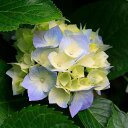 lucia aparicio - @luciaaparicio3 - Twitter