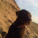 Jenni_Wright - @Jenni_2905 - Twitter