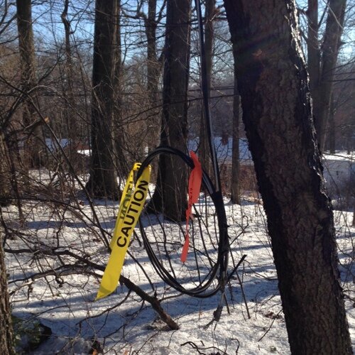 BWLOutage's profile picture. Not affiliated with BWL or @BWLComm. Just a fellow citizen trying to help.