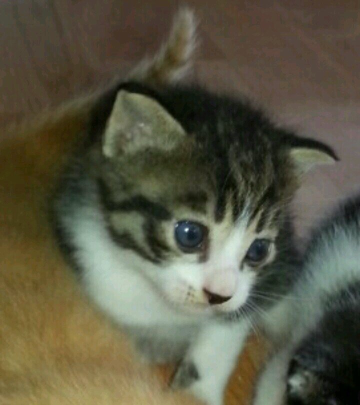 ecooskal's profile picture. 귀농 8년차 농부가된 내가 좋다.