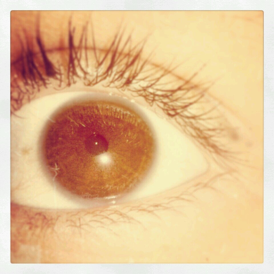 Genesisaat's profile picture. 13.