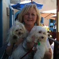 Sandy Collins (@scidesign) 's Twitter Profile