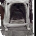 Becky Chamberlain - @becchamber - Twitter