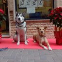 Antonio Tomas Lizan - @Lizan27 - Twitter