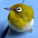 Eric Rubin - @LBGameReviewer - Twitter