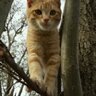 metehan2924's profile picture. deri cüzdan tasarım 

#airdrop #ıco #bitcoin #altcoin #btc #ethereum #cripto #Myeterwalet #giwevay
