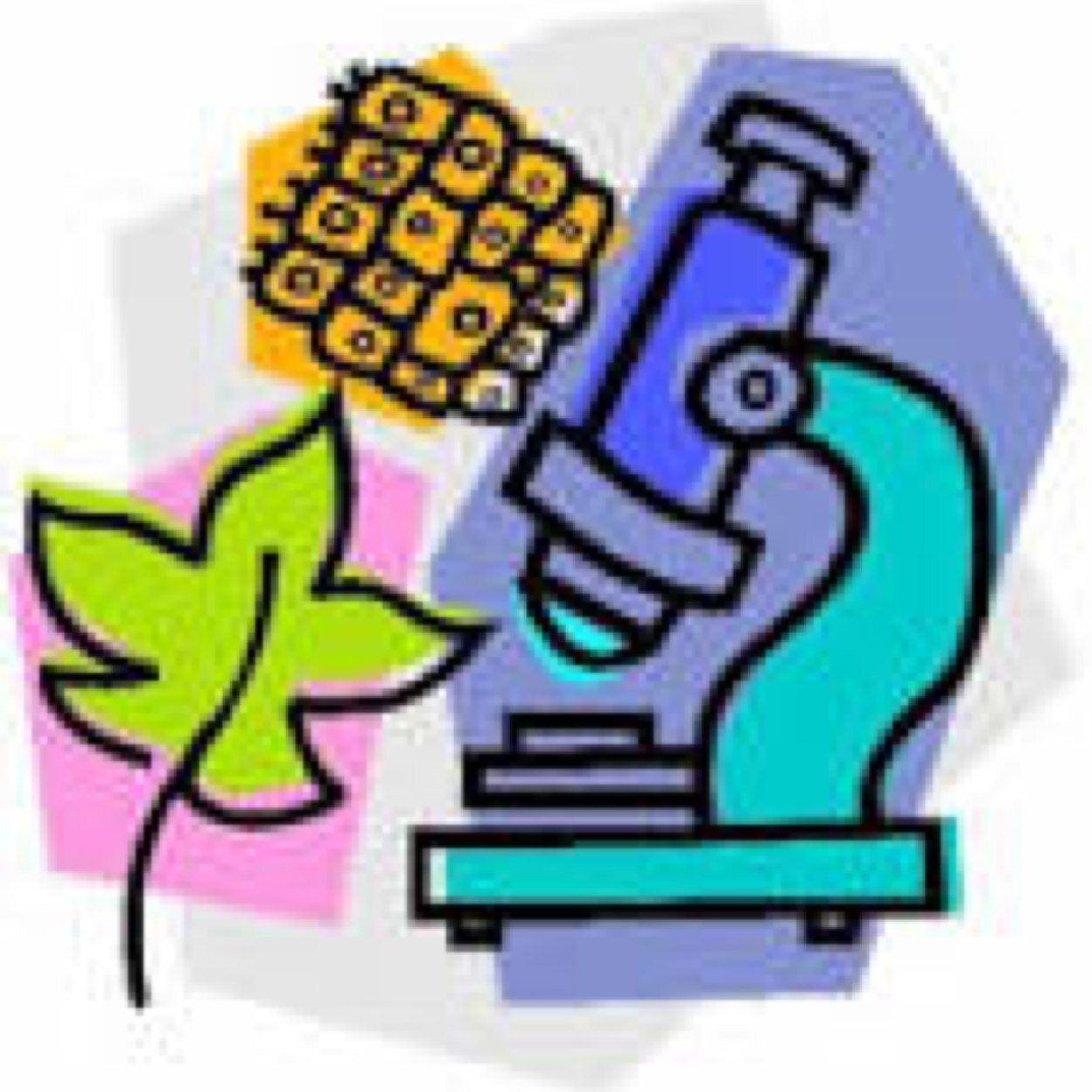 Revision help for A2 Biology (AQA spec)